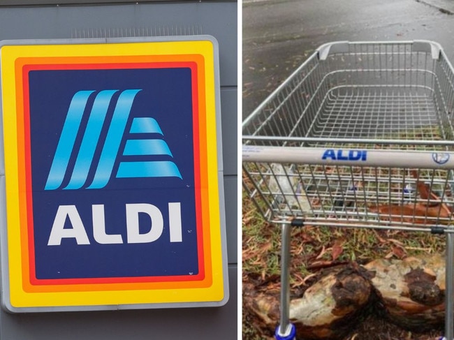 ‘About time’: Aldi makes huge trolley change