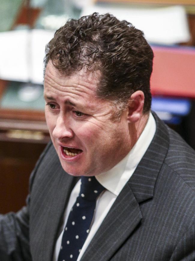 Jack Snelling in Parliament on Wednesday.