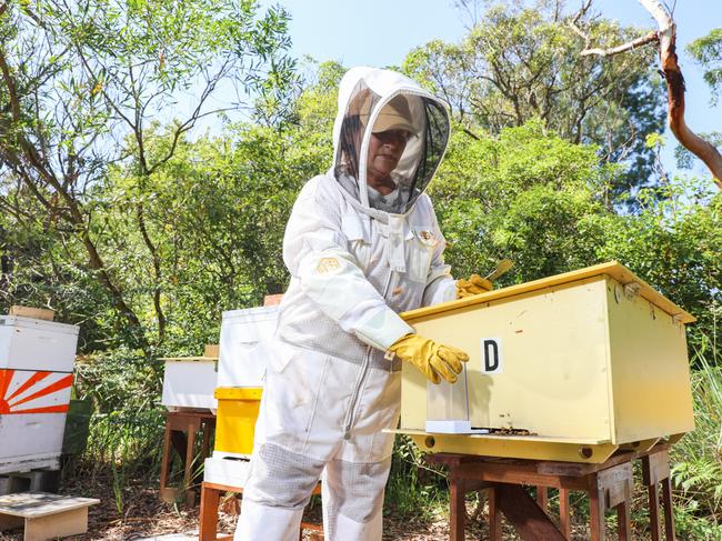 Protective clothing can help you avoid being stung. Picture: Renee Nowytarger.