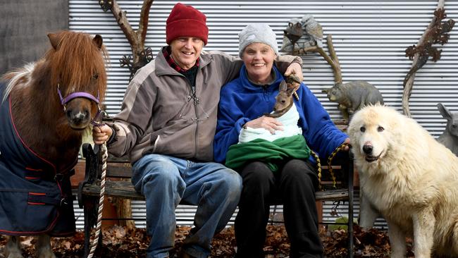 Minton Farm founders Glenn and Bev Langley at their Cherry Gardens animal rescue. Picture: Tricia Watkinson