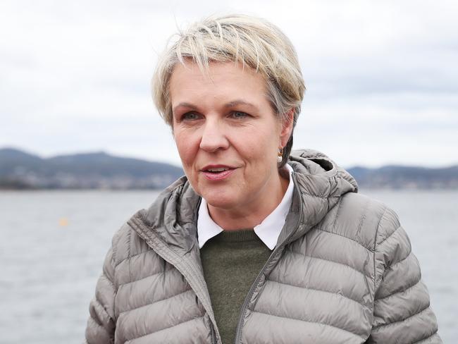 Federal Environment Minister Tanya Plibersek in Hobart in relation to the spotted handfish.  Picture: Nikki Davis-Jones