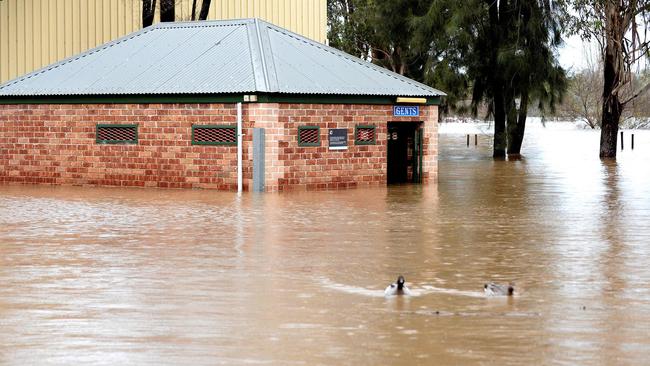 A general view shows a flooded area due to torrential rain in the Camden suburb of Sydney on July 3. Picture: Muhammad Farooq/AFP