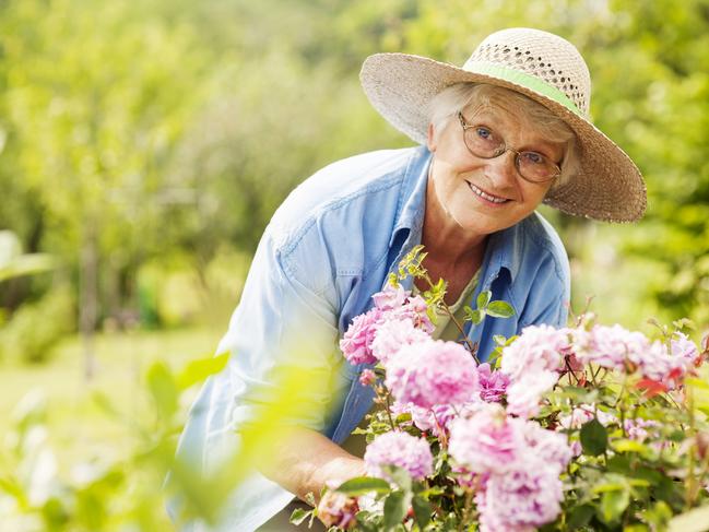 Senior woman with flowers in garden, active retirement, pensioner generic