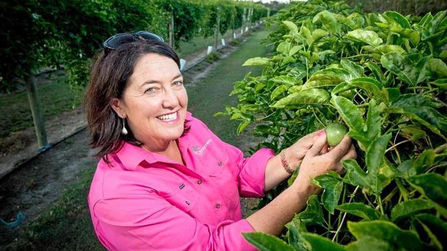 Tina McPherson and her husband, Bruce, have built up Tinaberries to be one of Bundaberg’s highest-profile growing and agtourism operations.