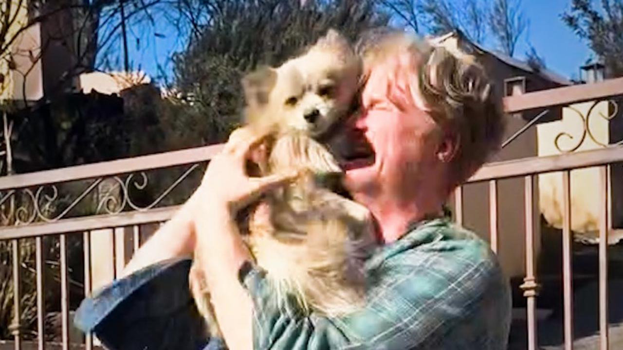 ‘Touching’: Miracle reunions with pets missing in LA inferno