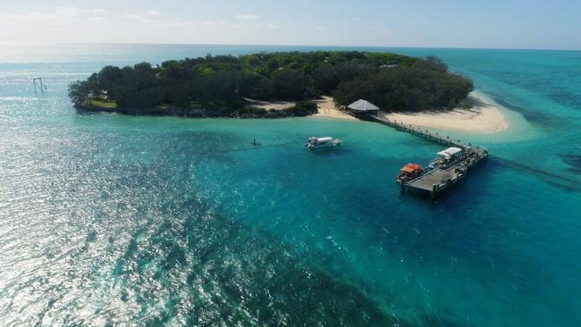 Heron Island is one of Flight Centre's Top 50 WOW Experiences for 2020