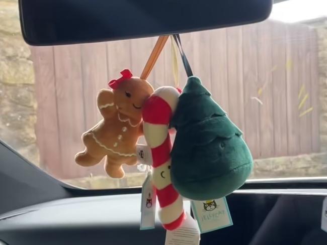 Now, a viral TikTok trend is putting the issue back in the spotlight. A soft toy brand Jellycat has become the must-have car decoration this Christmas. You’re probably wondering what or who is Jellycat?Jellycat sells adorable designs from bunnies to fruit and vegetable characters.