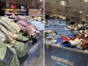 'Unthinkable' scenes spotted at ALDI as sale launches