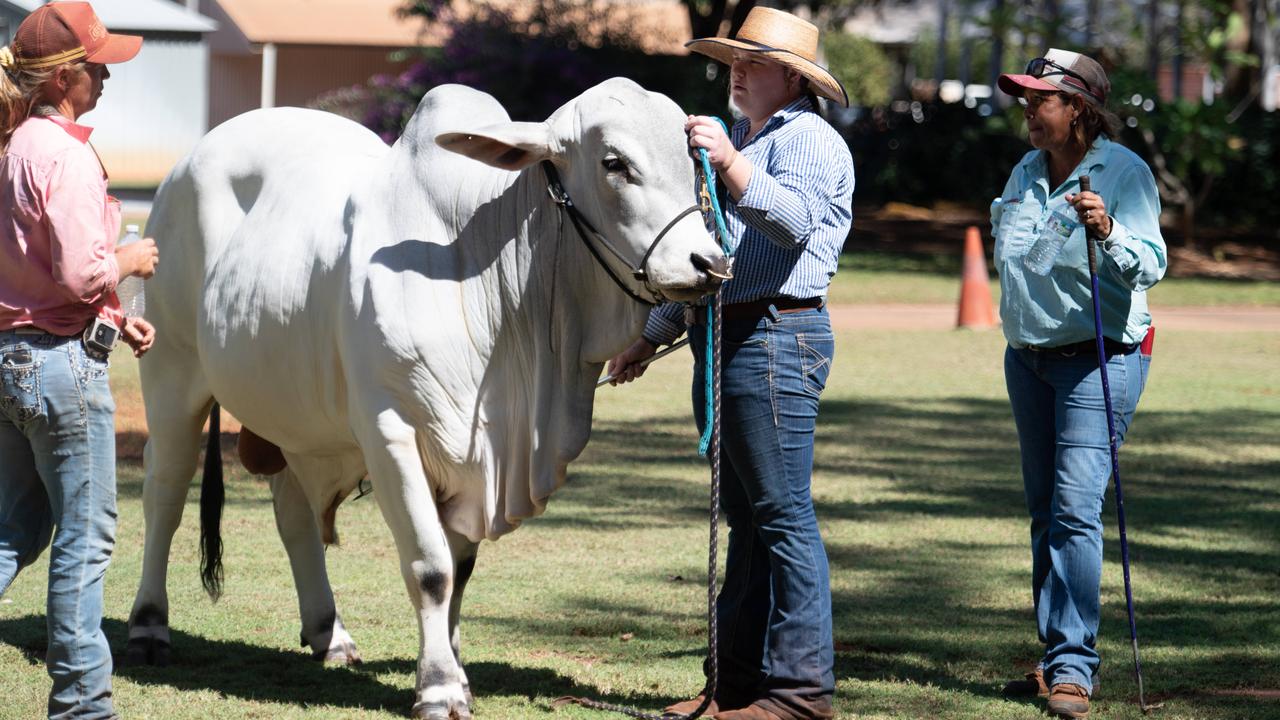 CDU’s Katherine campus is also a working cattle station. Picture: Pema Tamang Pakhrin