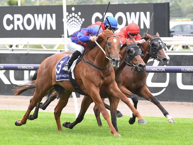 Otago (NZ) ridden by Beau Mertens wins the Victorian Jockeys Association Trophy at Flemington Racecourse on January 13, 2024 in Flemington, Australia. (Photo by Brett Holburt/Racing Photos via Getty Images)