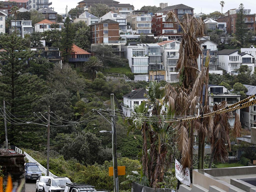 ‘The trees were hideous and just weeds anyway, so why wouldn’t you knock ‘em over?’ muses one local. Picture: NewsWire / John Appleyard