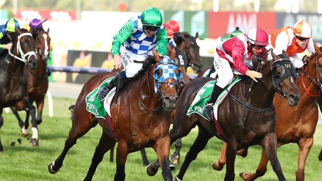 Fifty Stars (green sleeves) will be back for a crack at another Australian Cup win in the coming weeks. Picture: Kelly Defina