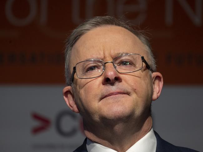 The Leader of the Australian Labor Party, Anthony Albanese. Picture: NCA NewsWire / Martin Ollman