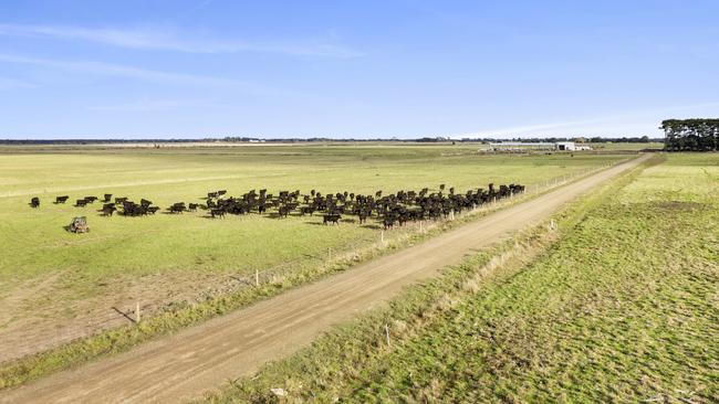 Both cattle and sheep have been produced across the Karrara Aggregation.