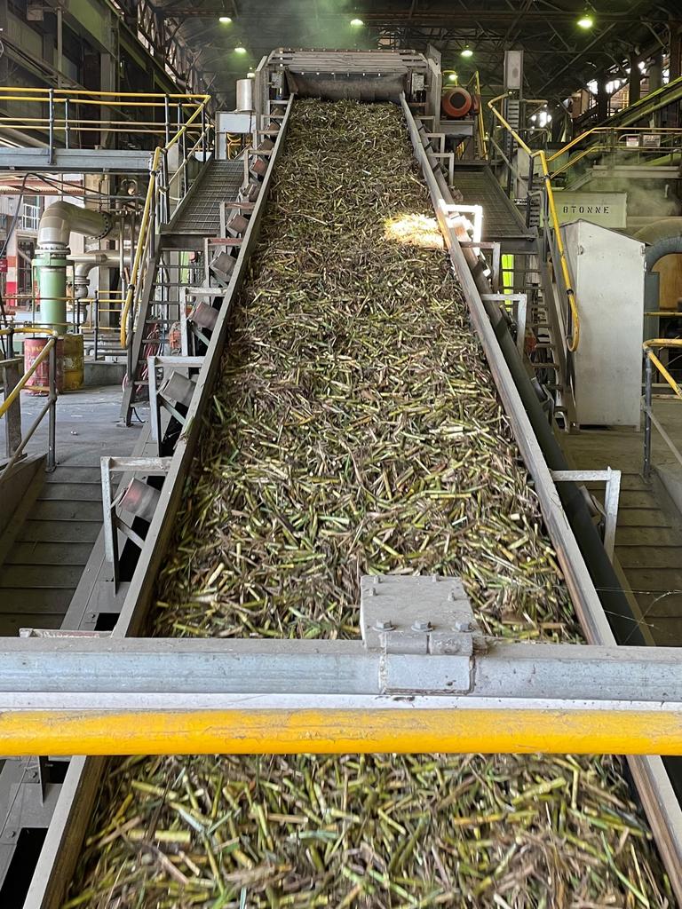 A conveyor at the Tully Sugar mill. The mill is capable of processing 700 tonne of sugar cane per hour.