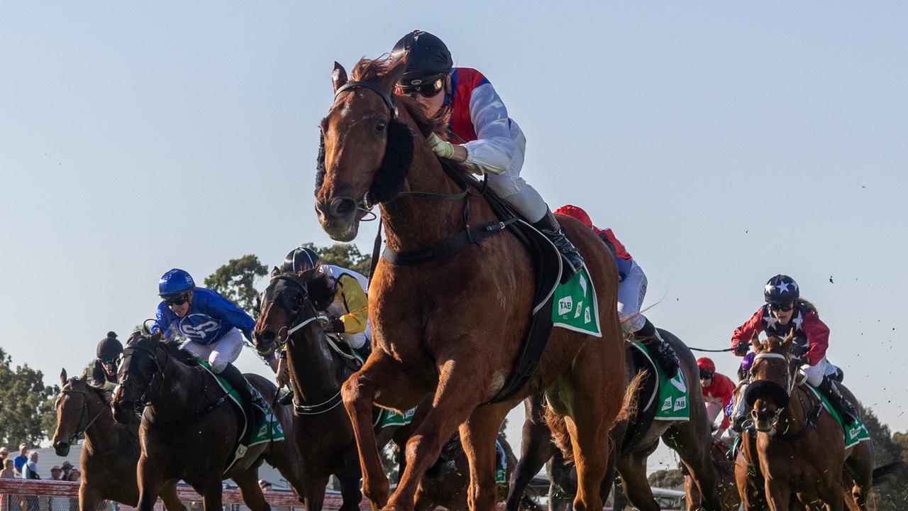 Sir Kingsford leads local charge in Gawler Cup