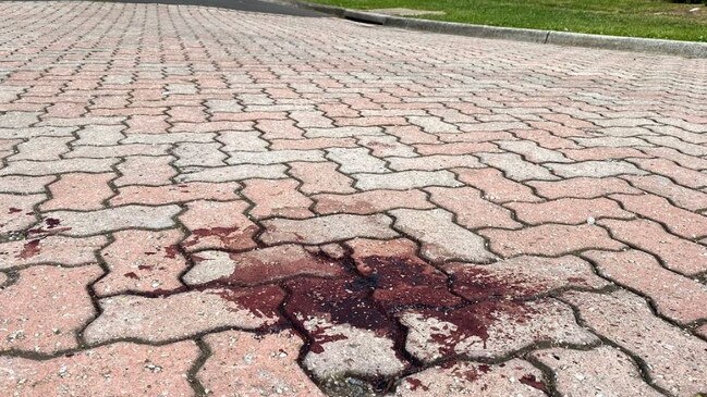 A bloodstain at the entrance to Kiwi Retreat. Picture: Grace McKinnon.