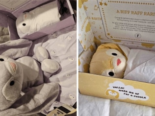 Riff Raffs are a popular toy said to help settle babies. Image: eBay