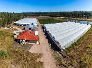 This cucumber farm at 5 Jamieson Road, Churchable, is for sale. Picture: Matthew Newton