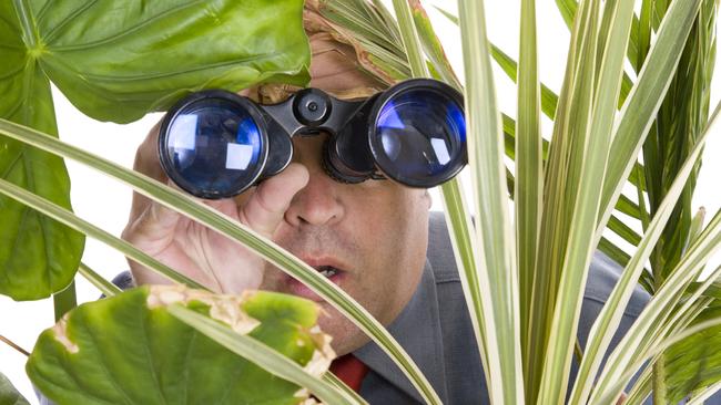 BHP is stalking a junior explorer. A company that is, not a youngster. Picture: iStock