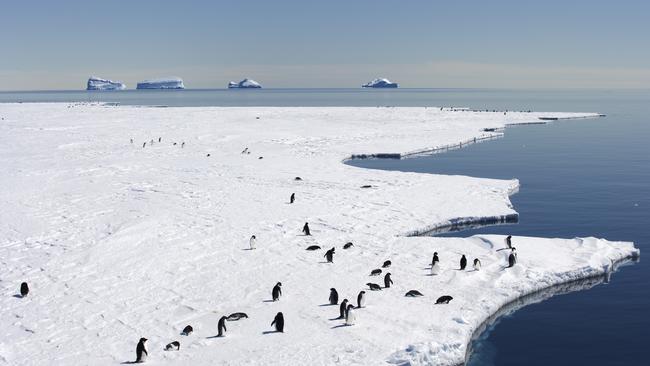 China and Russia have repeatedly blocked efforts by other nations to implement stricter environmental and wildlife controls.