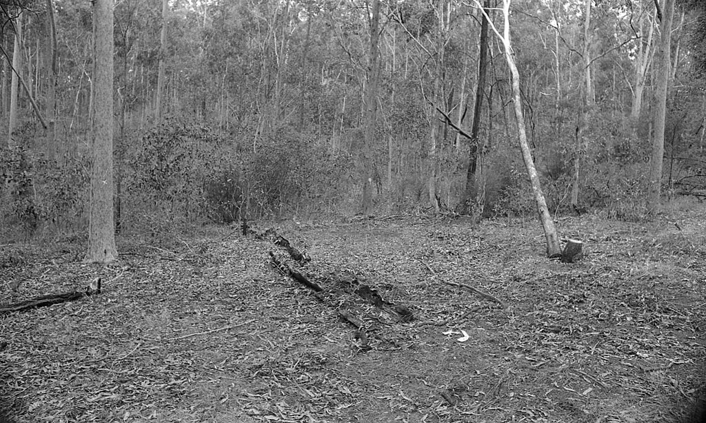 Police search in the Murphys Creek area following the murder of two Sydney nurses Lorraine Wilson and Wendy Evans in 1974.