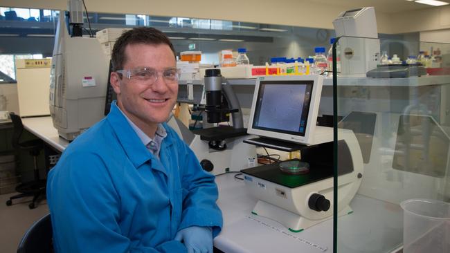 New research has discovered Alzheimer's medications could be used to treat heart disease. Professor Sean McGee in the lab at Waurn Ponds campus. Picture: Supplied