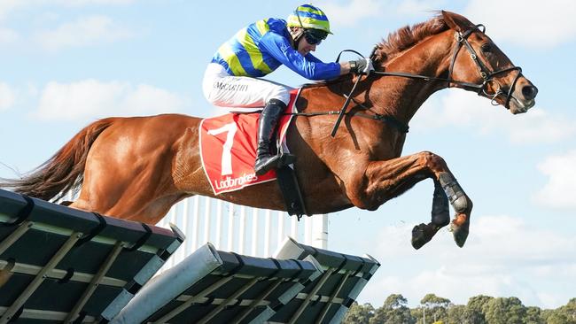 Wil John ridden by Willie McCarthy wins the Grand National Hurdle. Picture: Racing Photos