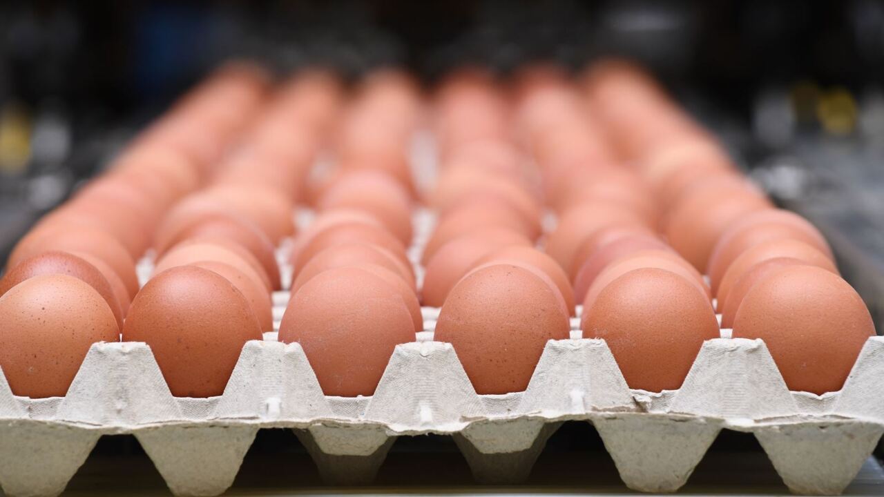 Supermarkets cap egg sales amid bird flu outbreak