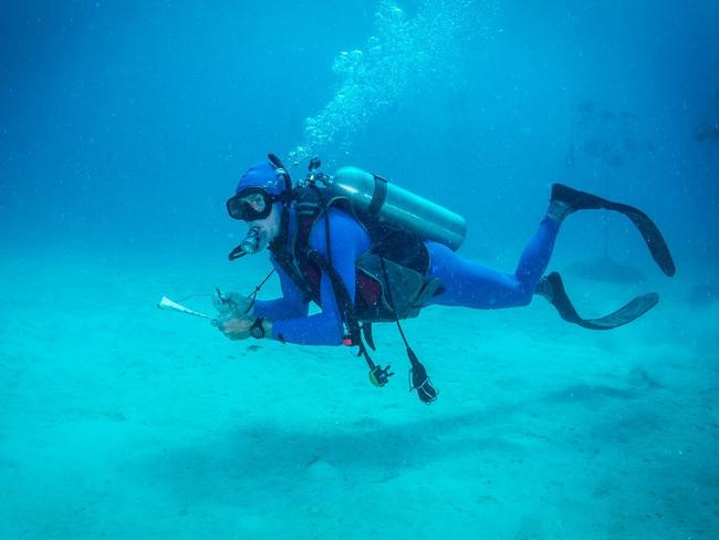 Citizen science while SCUBA diving at John Brewer Reef