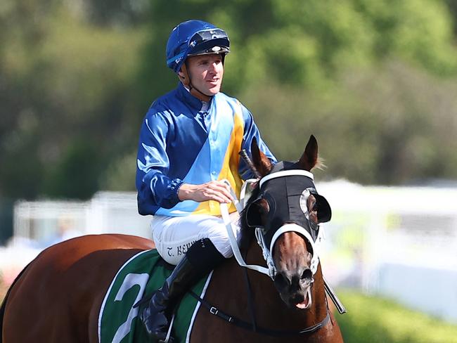 SYDNEY, AUSTRALIA - NOVEMBER 11: Tommy Berry riding Roots wins Race 6 James Squire Hot Danish Stakes during Five Diamonds Ladies Day - Sydney Racing at Rosehill Gardens on November 11, 2023 in Sydney, Australia. (Photo by Jeremy Ng/Getty Images)