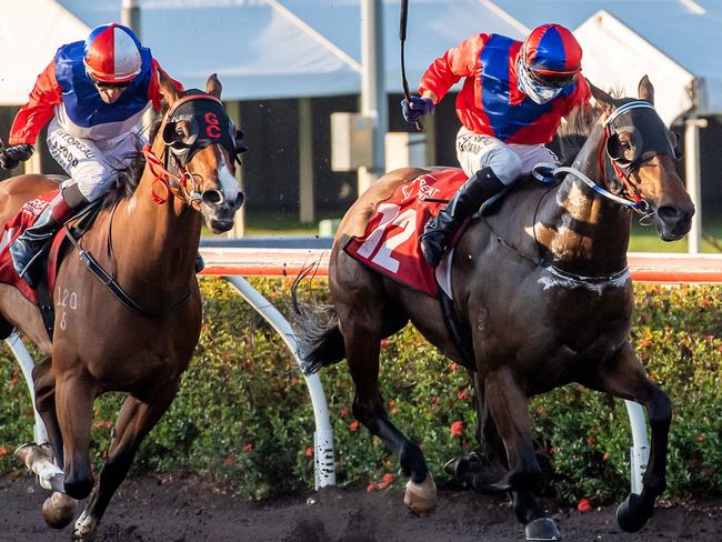 Neil Dyer’s Carlingford (jockey Stan Tsaikos) wins the $40,000 Darwin Corporate Park Cup. Picture: Caroline Camilleri