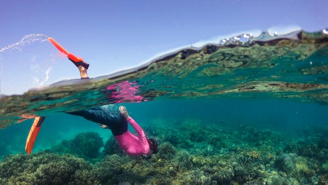 Tourism Tropical North Queensland said they hoped 2023 will be a year where more visitors domestic and from overseas are attracted to region and enjoy themselves in an out of the water. PICTURE: TTNQ