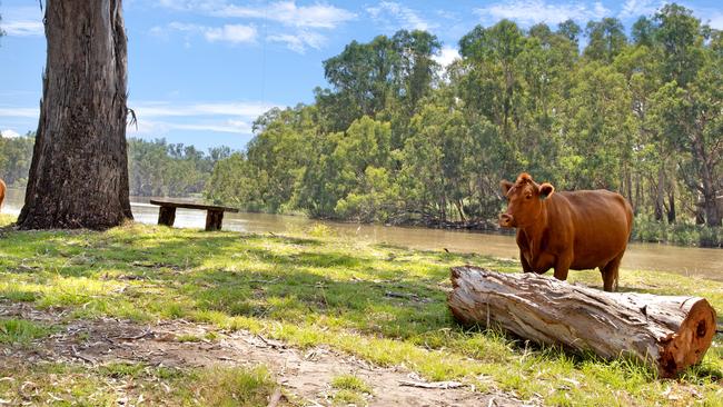 Jeff and Janet Thynne have farewelled their Brimin farm, Bunyarra.