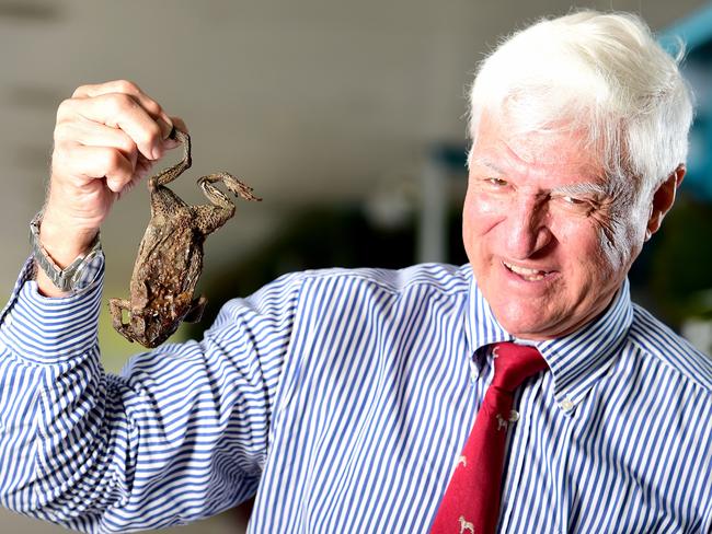 BOB KATTER ON 40 CENT CANE TOAD BOUNTY