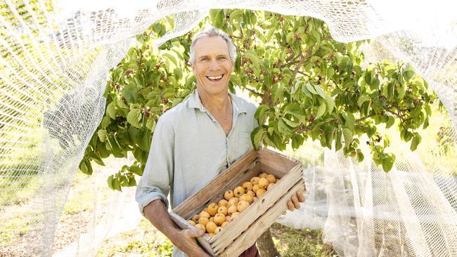 David Arnold with a box of Loquat fruit in front of a mulberry tree on Murrnong Farm at Violet Town. Picture: Zoe Phillips