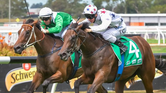 Golden Slipper favourite Sunlight, right, and Estijaab set the standard with a cracking dual in the Silver Slipper last month. Picture: AAP