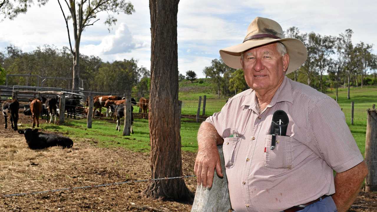 Cattle agent Bill Hallas says farmers&#39; right to make a living needs to be protected. Picture: Meg Bolton