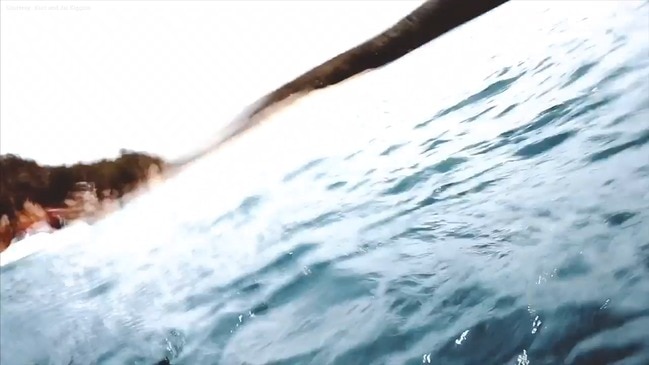 Swimming with a great white shark at Wattamolla