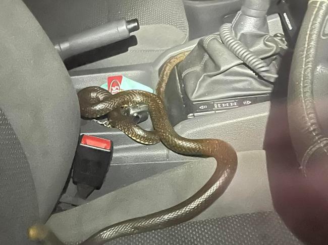 ‘Was everywhere’: Horror find in driver’s seat