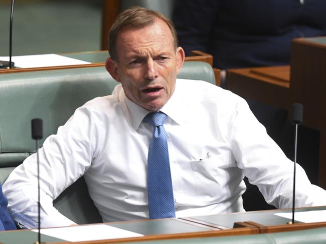 Former Deputy Prime Minister Barnaby Joyce (left) and former Australian Prime Minister Tony Abbott react during a division on suspension of standing orders moved by Adam Bandt in the House of Representatives at Parliament House in Canberra, Wednesday, December 05, 2018. (AAP Image/Lukas Coch) NO ARCHIVING