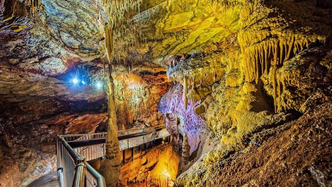 Buchan Caves Reserve features walking trails and wildlife that make it a key spot for an adventure. Picture: Supplied