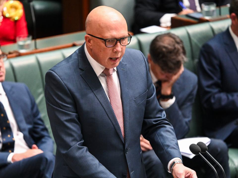 'Sack him': Peter Dutton calls on Anthony Albanese to fire Immigration Minister