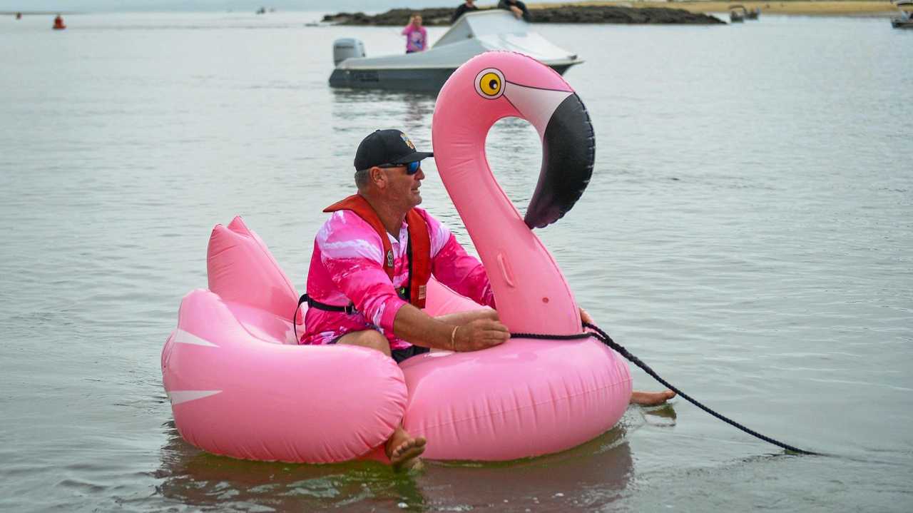 Hodgie looks pretty on a pink flamingo | The Courier Mail