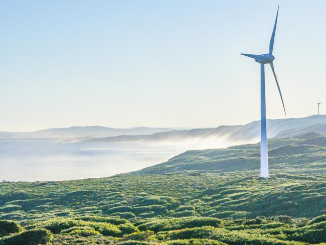 wind farm at albany city