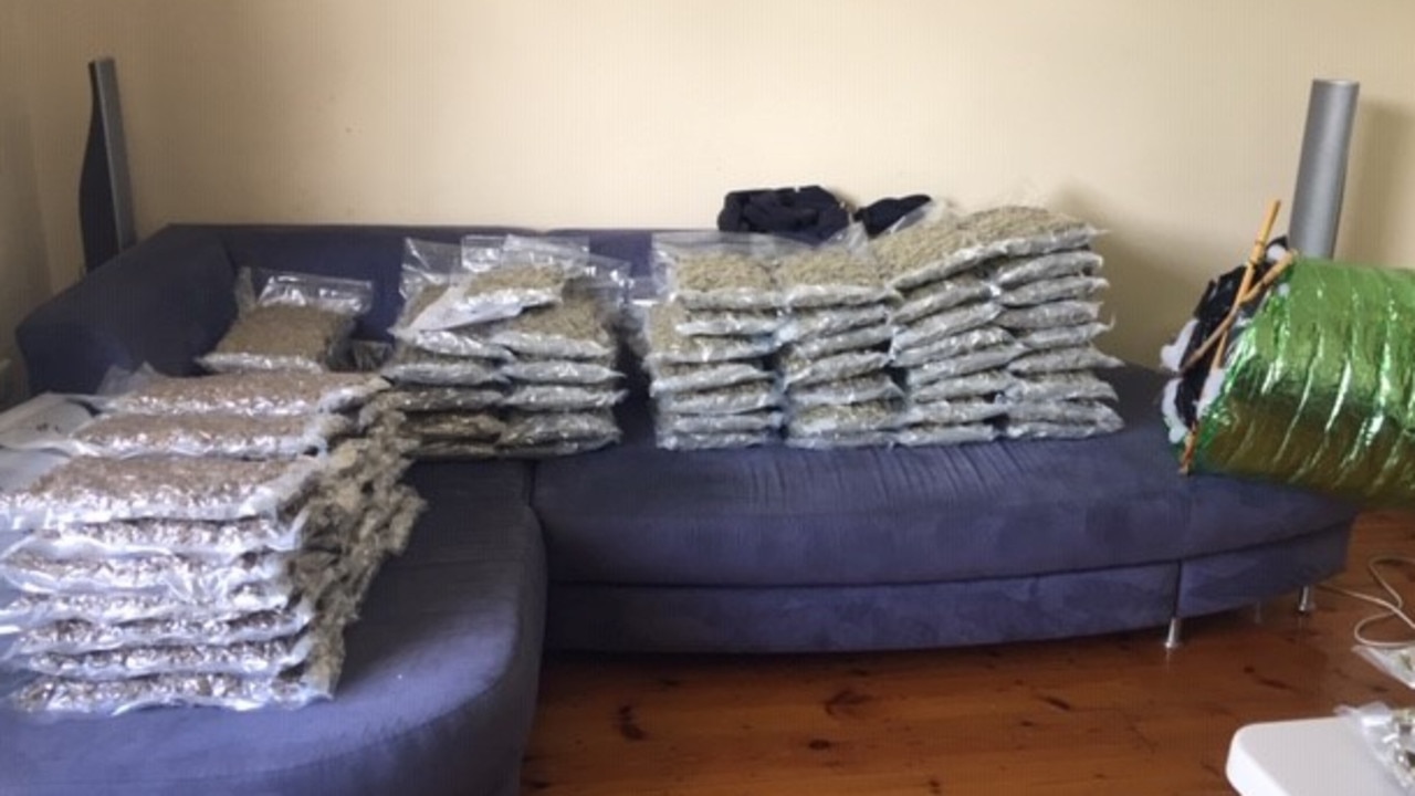 The $1.5m worth of cannabis found in a Northfield home as a result of Operation Ironside. Picture: AFP