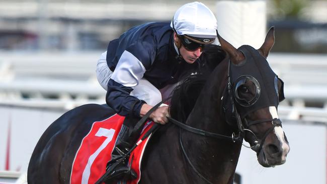 Yucatan shot to the top of Melbourne Cup betting after his runaway win in the Herbert Power Stakes. Picture: Getty Images