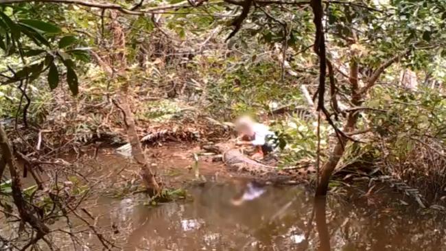 Crocodile Cairns: Man accused of killing croc caught on video | The ...