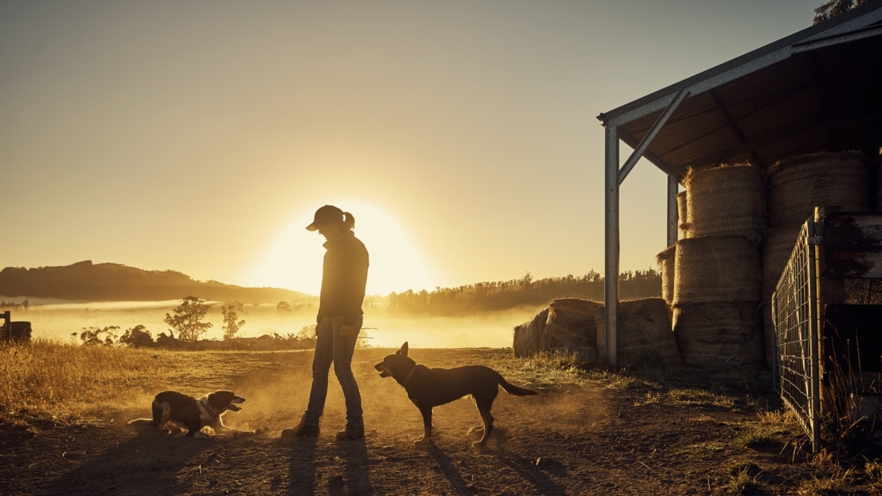 Victorian farmers accuse AEMO of using dirty tactics