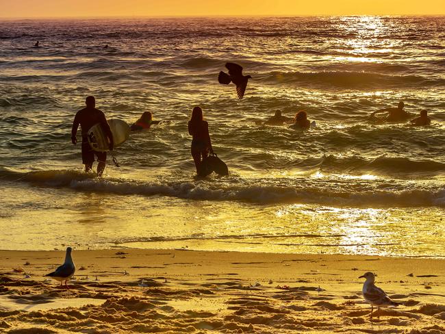 Surfers making there way out to sea to pay tribute to Annalise Braakensiek at the Memorial held at Bondi Beach around 7am Wednesday January 16 Image Picture: Monique Harmer